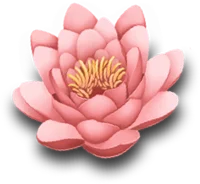 Immagine decorativa
